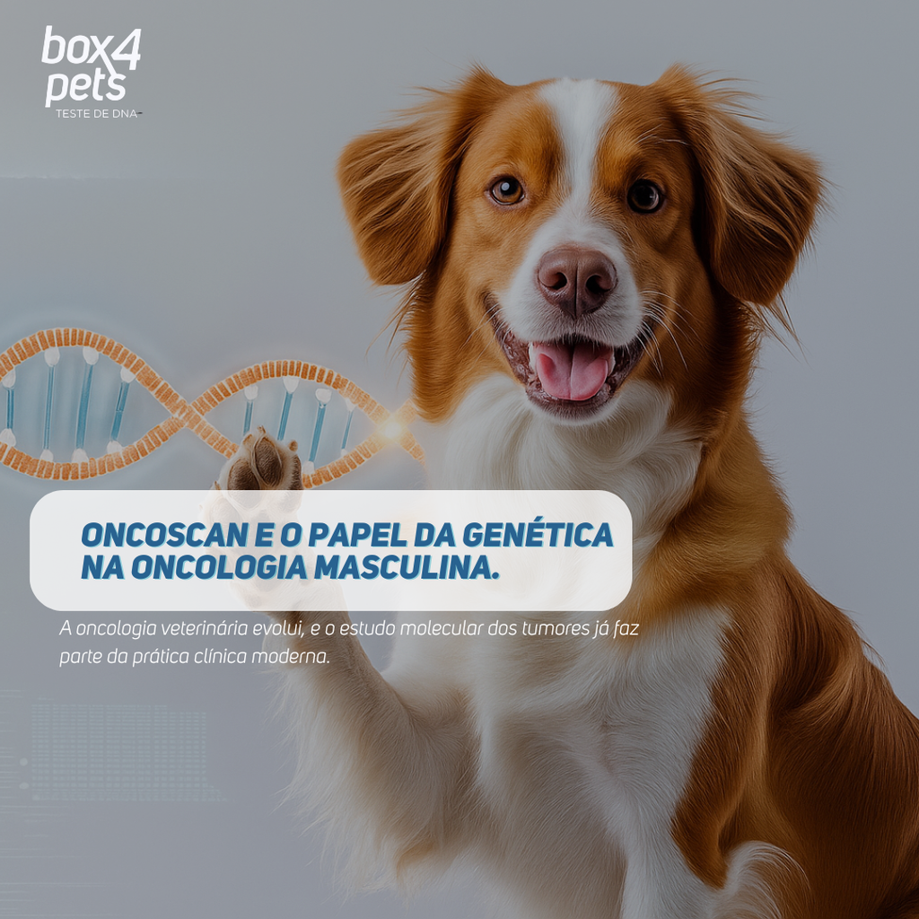Oncoscan e o Papel da Genéticas na Oncologia Masculina