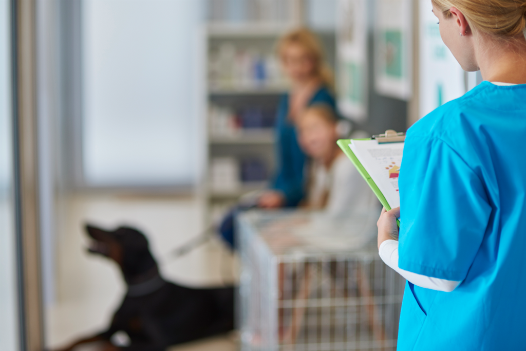Como aumentar a retenção e lucratividade de clientes em sua clínica veterinária com os testes genéticos?