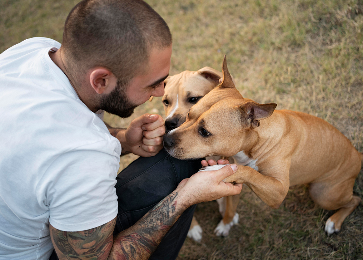 Saiba Como Maximizar a Lucratividade na Criação de Cães com Testes Genéticos